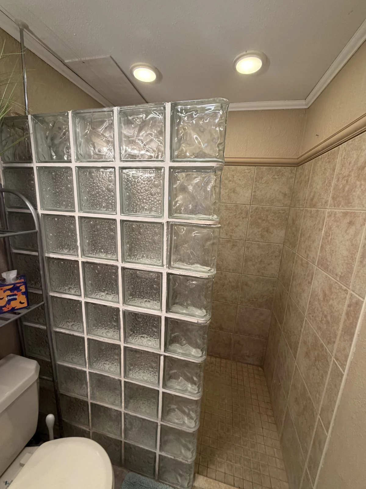 The original downstairs bathroom with the curved glass-block shower enclosure.
